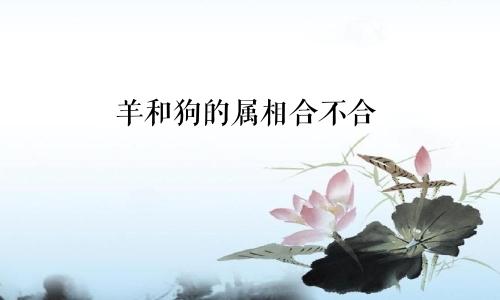 羊和狗的属相合不合