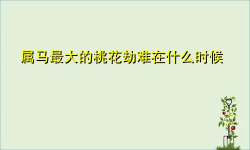 属马最大的桃花劫难在什么时候