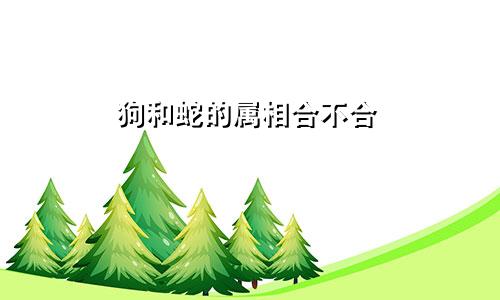 狗和蛇的属相合不合