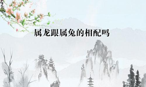 属龙跟属兔的相配吗