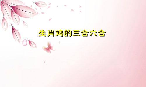 生肖鸡的三合六合