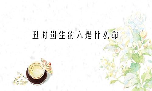 丑时出生的人是什么命