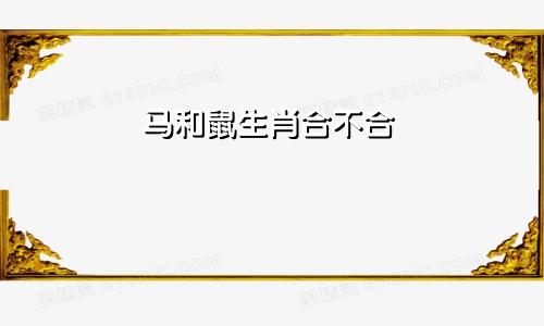 马和鼠生肖合不合