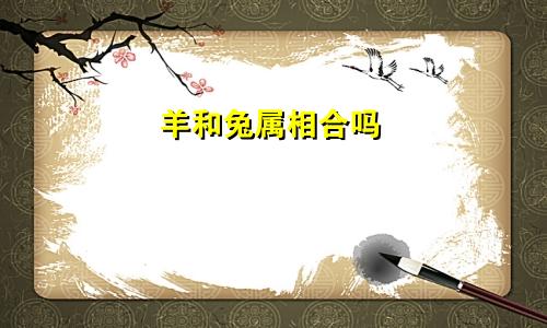 羊和兔属相合吗