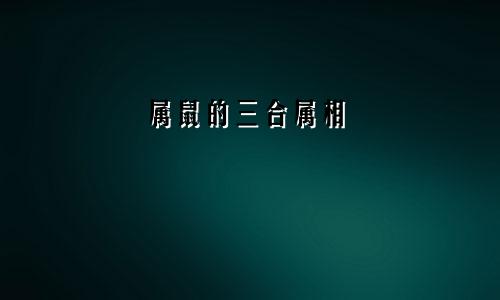 属鼠的三合属相