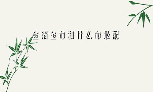 金箔金命和什么命最配