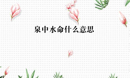 泉中水命什么意思