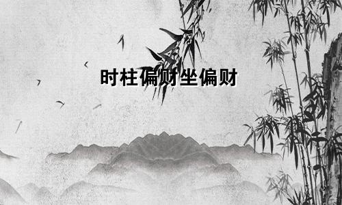 时柱偏财坐偏财