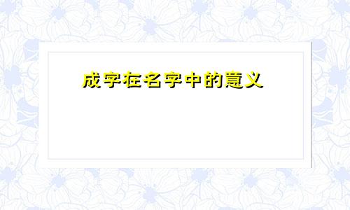 成字在名字中的意义