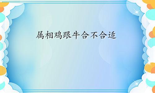 属相鸡跟牛合不合适