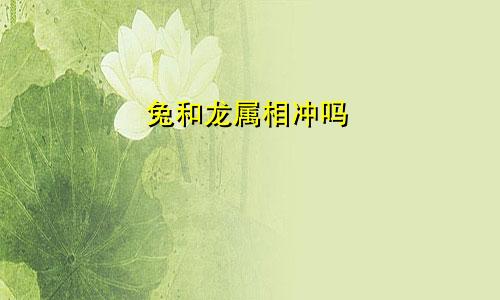 兔和龙属相冲吗