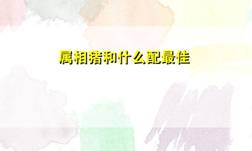 属相猪和什么配最佳