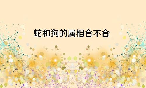 蛇和狗的属相合不合