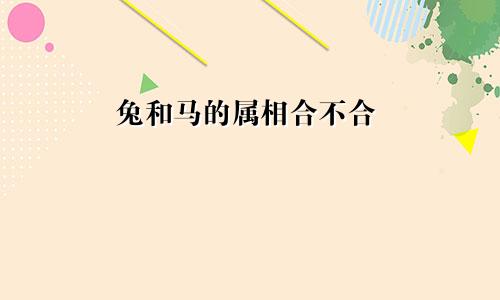 兔和马的属相合不合