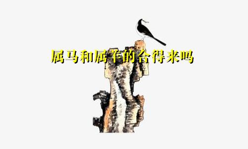 属马和属羊的合得来吗