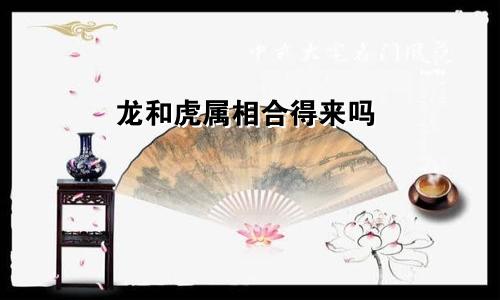 龙和虎属相合得来吗