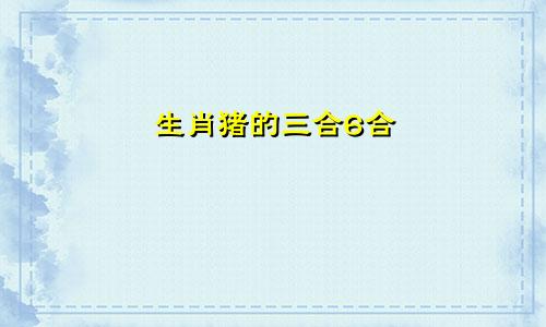 生肖猪的三合6合