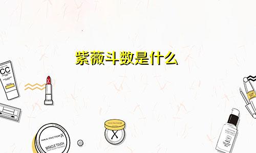 紫薇斗数是什么