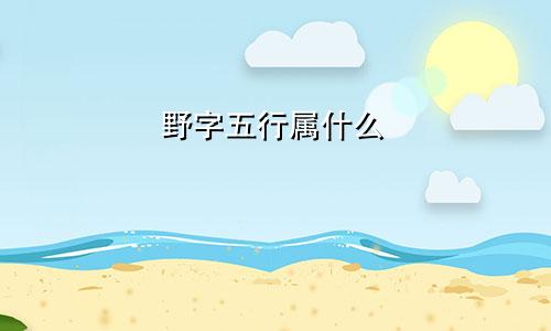 野字五行属什么