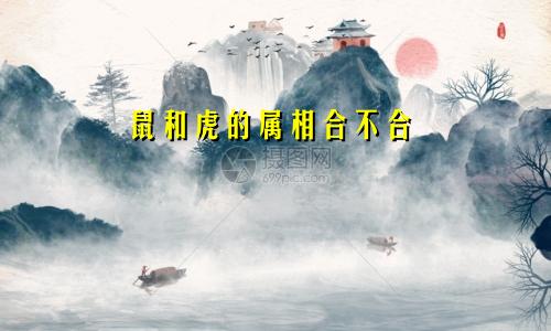 鼠和虎的属相合不合