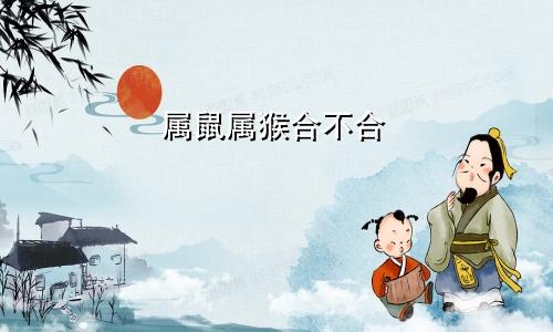 属鼠属猴合不合