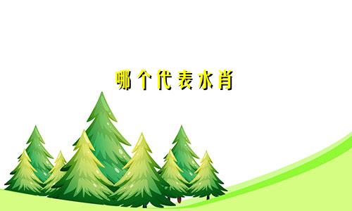 哪个代表水肖