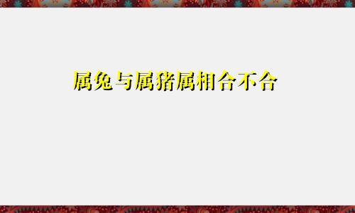 属兔与属猪属相合不合