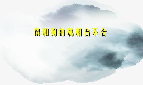 鼠和狗的属相合不合