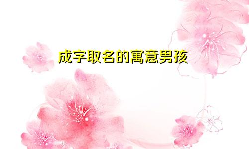 成字取名的寓意男孩