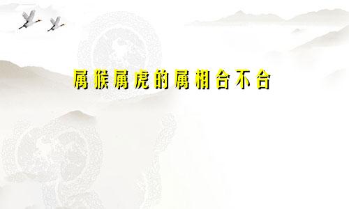 属猴属虎的属相合不合