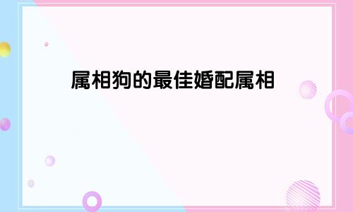 属相狗的最佳婚配属相