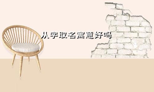 从字取名寓意好吗