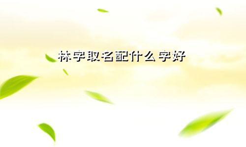林字取名配什么字好