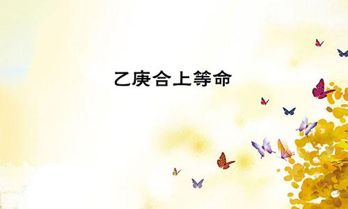 乙庚合上等命