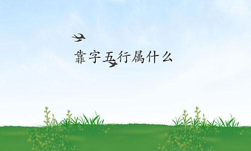 靠字五行属什么