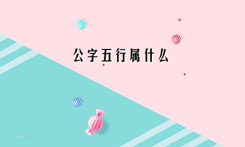 公字五行属什么