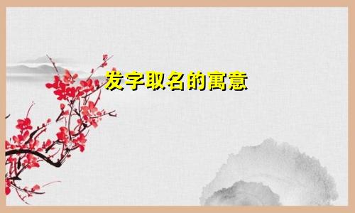 发字取名的寓意