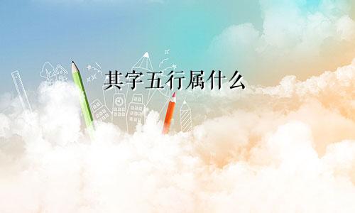 其字五行属什么