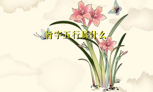 旨字五行属什么