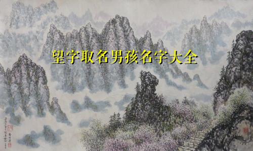 望字取名男孩名字大全