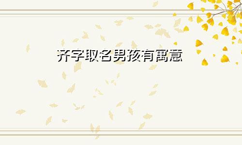 齐字取名男孩有寓意