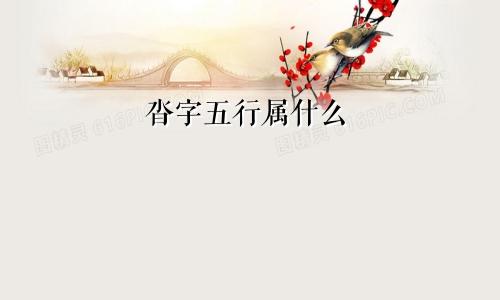 沓字五行属什么