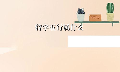 特字五行属什么