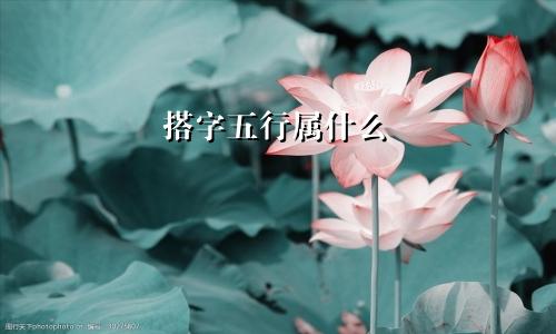 搭字五行属什么