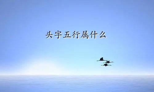 头字五行属什么
