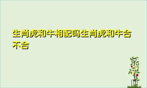 生肖虎和牛相配吗生肖虎和牛合不合