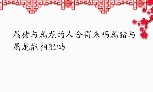 属猪与属龙的人合得来吗属猪与属龙能相配吗