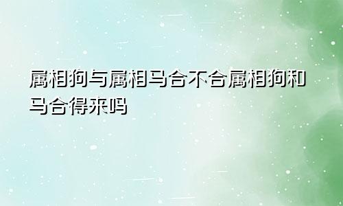 属相狗与属相马合不合属相狗和马合得来吗