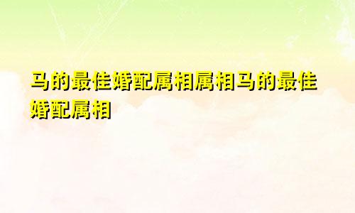 马的最佳婚配属相属相马的最佳婚配属相