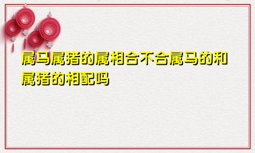 属马属猪的属相合不合属马的和属猪的相配吗